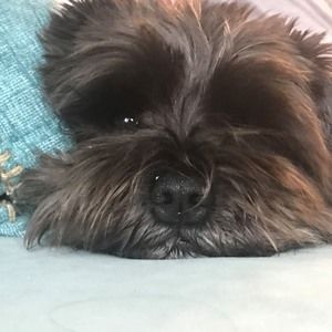 Meet your Posher, Jackie